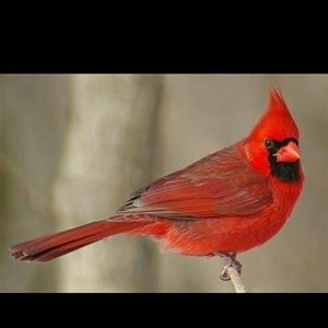 Meet your Posher, Judith